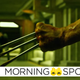 Image for article titled X-Men: Apocalypse's Wolverine Cameo Could Be Hugely Important to Future X-Movies